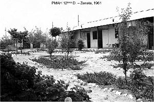 216 ALAT 11 (24)